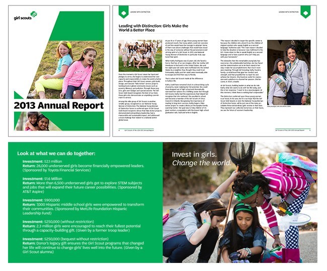 2013_gsannualreport_final