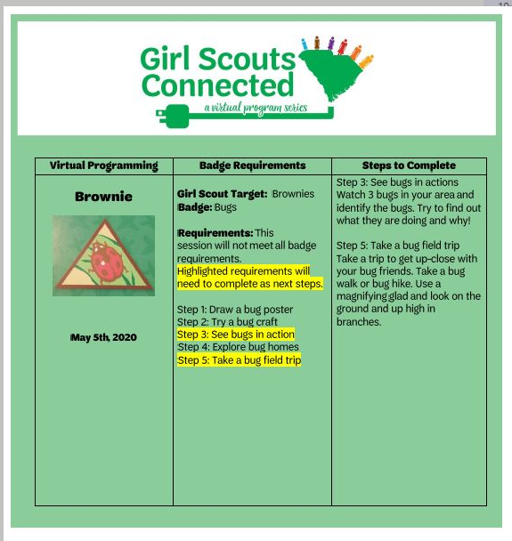 Brownie Next Steps Bugs Badge 5.5.2020