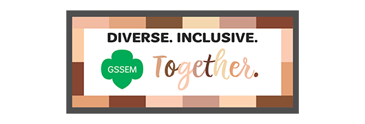 Diversity Patch Program Diversity Patch Program