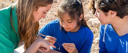 header-engaging-girls-in-stem