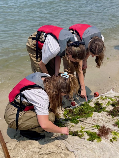 Girl Scout Cadettes Abagail, Olivia, and Marisa of Troop 18 work together on the beach at Sandbridge